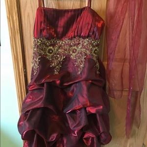 A Red and Gold Dress